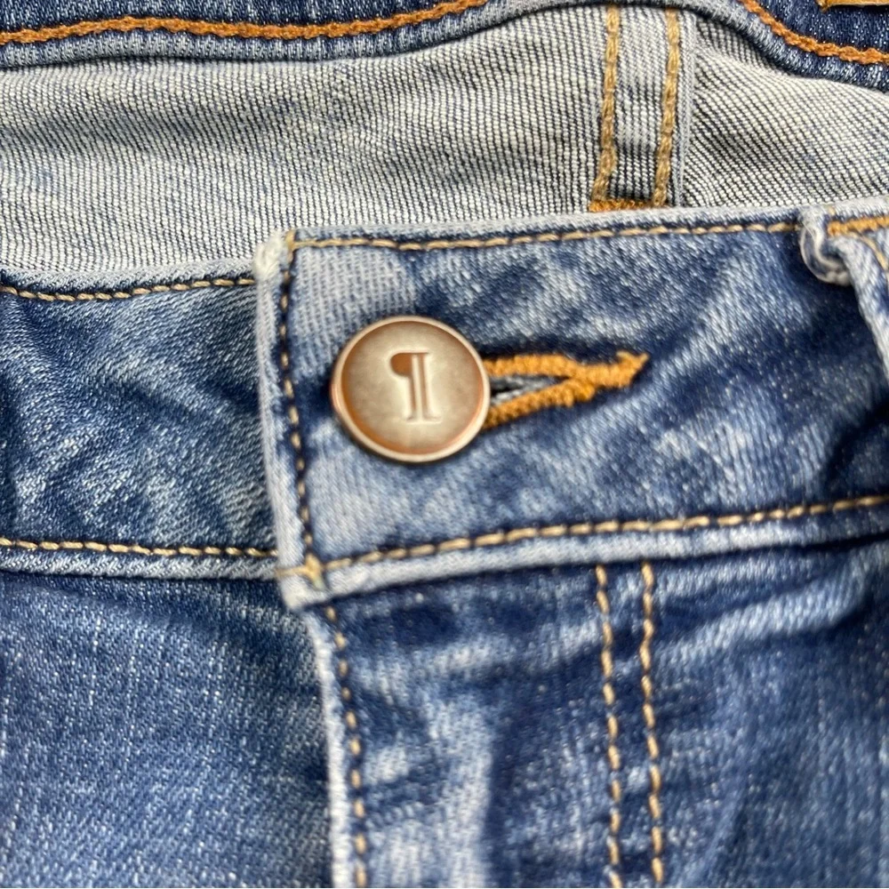 Pilcro and the Letterpress Jeans Womens 26 Stet Blue Denim Skinny‎ Anthropologie